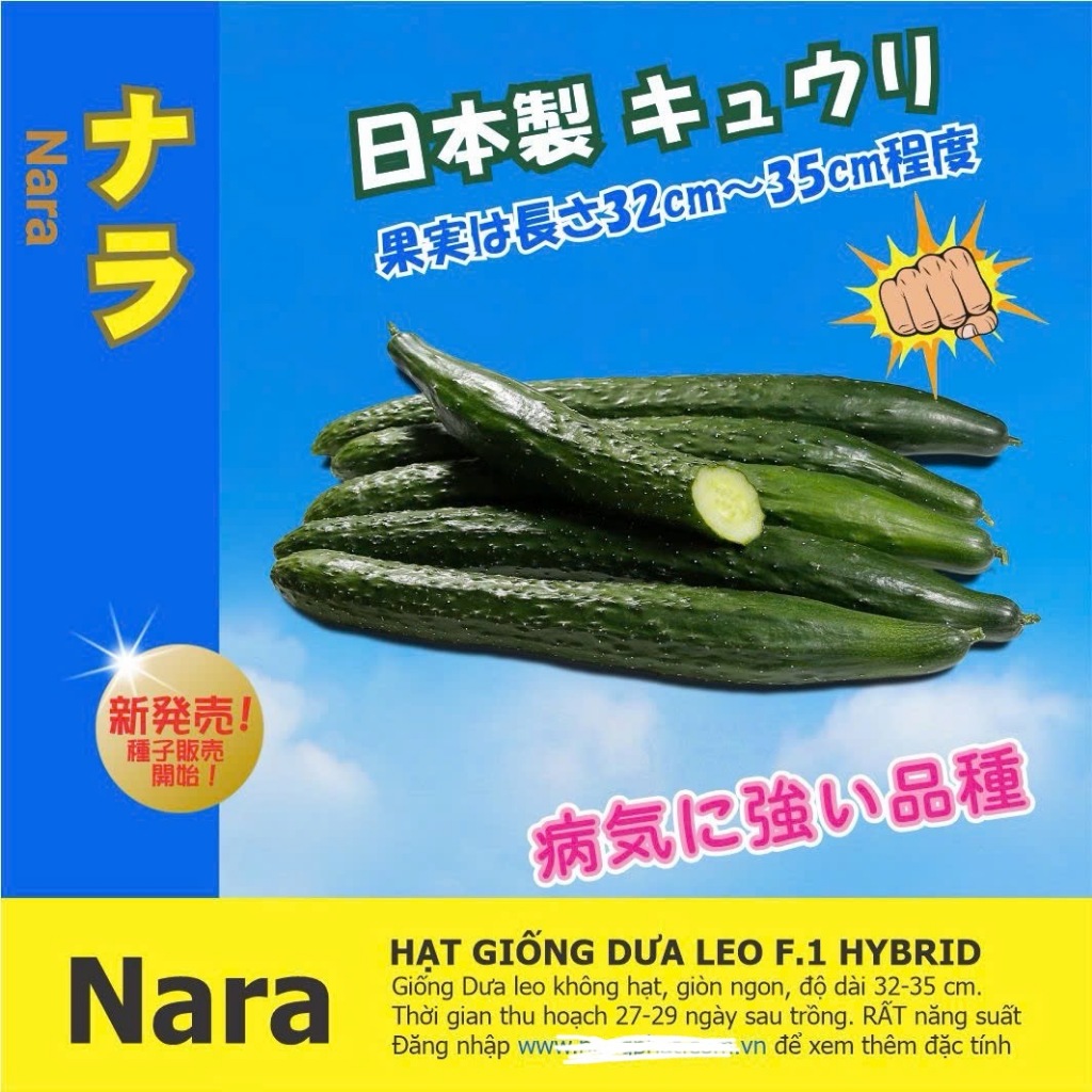 Hạt Giống Dưa Leo NARA - Giống Nhật bản F1