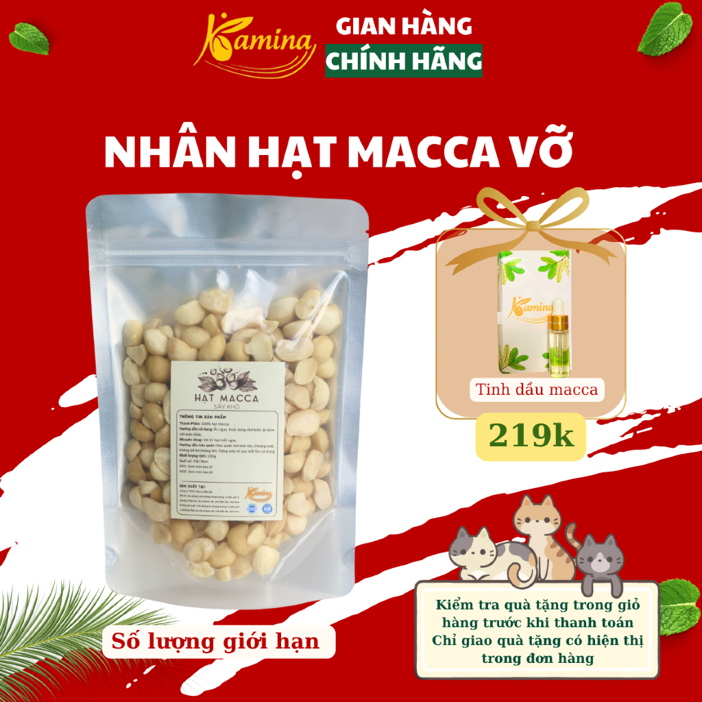 Nhân macca hạt vỡ Đắk Lắk, hạt macca tách vỏ sấy lạnh giàu dinh dưỡng dùng làm sữa hạt  Kamina Store