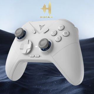 Tay Cầm HOSAN Flydigi Direwolf 3 / Direwolf 4 Kết Nối Không Dây, Con Quay Hồi Chuyển 6 Trục Mạnh Mẽ