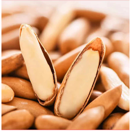 Hạt thông dài sấy Brazil siêu ngậy, vỏ mỏng hàng VIP