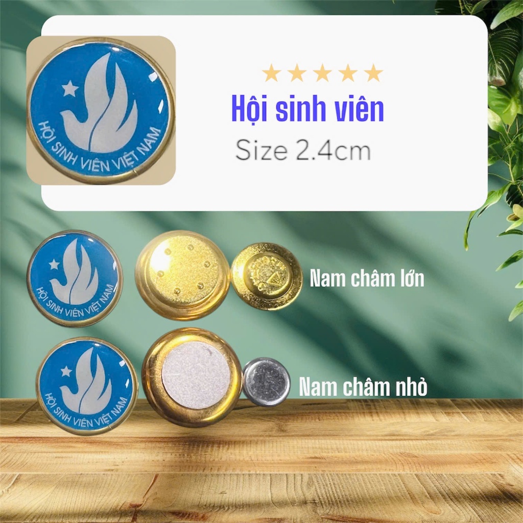 Set 10 Huy Hiệu Sinh Viên Nam Châm