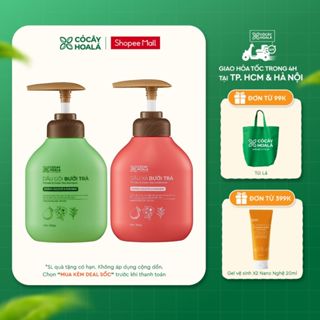   HỎA TỐC   KOL LIVE  Combo Dầu Gội Xả Thảo Dược Cỏ Cây Hoa Lá Bưởi Trà Phục Hồi Tóc Hư Tổn 350g 