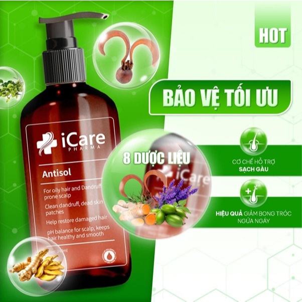 [CHÍNH HÃNG] Dầu Gội iCare Pharma Antisol 240ML - Sạch Gàu Chiết Xuất Dược Liệu
