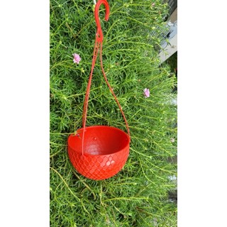 5 cái chậu treo size nhỏ mini 12x7cm