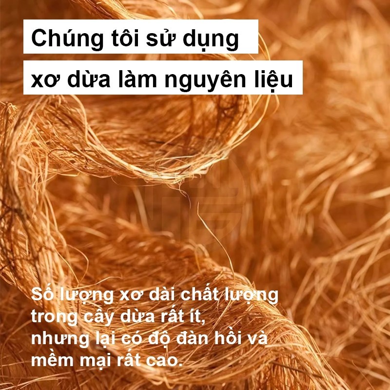 Giường Gấp Ngủ Trưa Văn Phòng Có Bánh Xe Di Chuyển Khung Thép Chắc Chắn cho dân văn phòng ngủ trưa | BigBuy360 - bigbuy360.vn