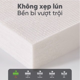 Nệm Bông Ép Vạn Thành - Vải Tricat (Màu Ngẫu Nhiên)