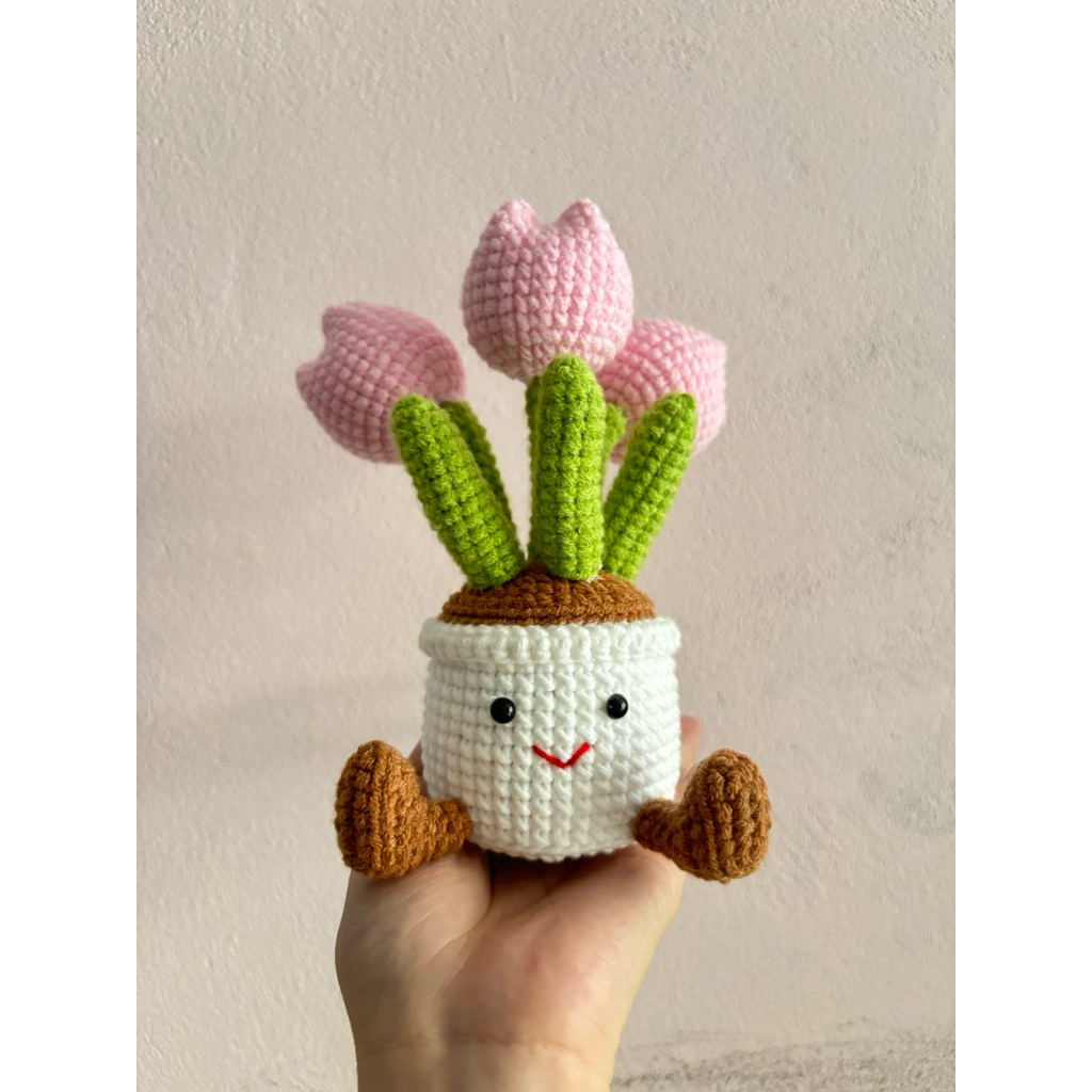 Chậu 3 bông Tulip Jelly Cat