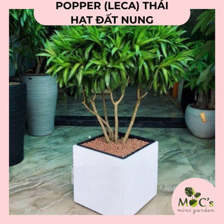 Hạt Đất Nung Popper Thái Lan (Leca) - 6 Lít | Mocminigarden