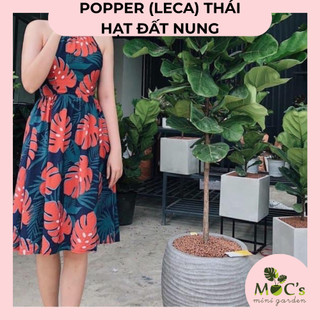 Hạt Đất Nung Popper Thái Lan (Leca) - 6 Lít | Mocminigarden