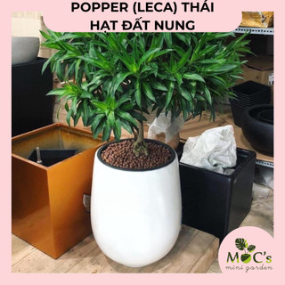 Hạt Đất Nung Popper Thái Lan (Leca) - 6 Lít | Mocminigarden