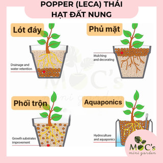 Hạt Đất Nung Popper Thái Lan (Leca) - 6 Lít | Mocminigarden