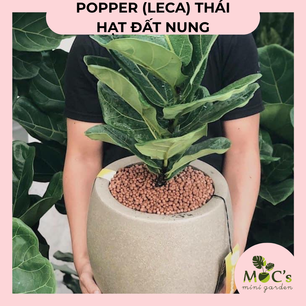 Hạt Đất Nung Popper Thái Lan (Leca) - 6 Lít | Mocminigarden