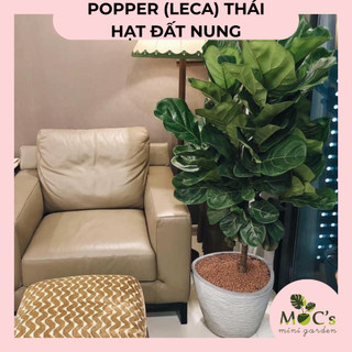 Hạt Đất Nung Popper Thái Lan (Leca) - 6 Lít | Mocminigarden