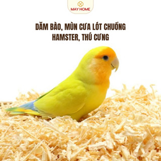  Dăm bào Hamster mùn thơm lót chuồng hamster gỗ thông Hinoki Nhật Bản 