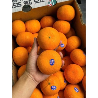 [ JENNY FRUIT ] Quýt chuẩn ÚC ngọt