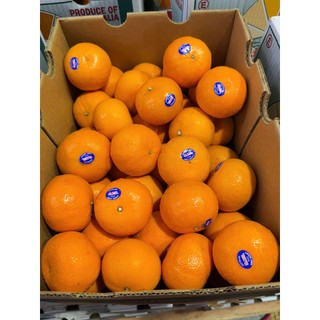 [ JENNY FRUIT ] Quýt chuẩn ÚC ngọt