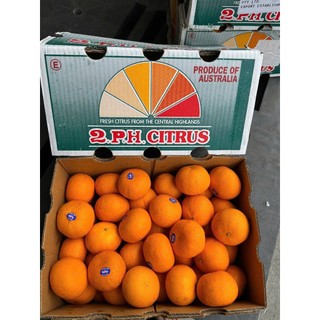 [ JENNY FRUIT ] Quýt chuẩn ÚC ngọt