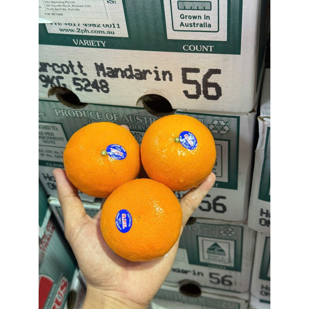 [ JENNY FRUIT ] Quýt chuẩn ÚC ngọt