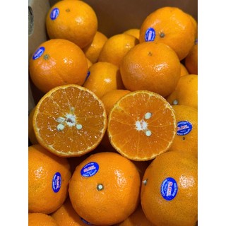 [ JENNY FRUIT ] Quýt chuẩn ÚC ngọt