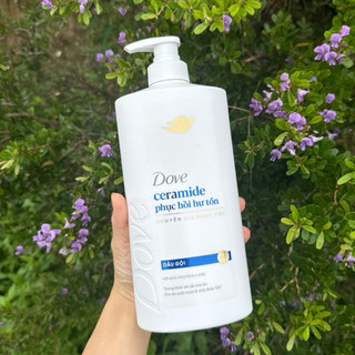  Dầu Gội Dove Ceramide Phục Hồi Hư Tổn 880g 