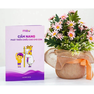 Cẩm nang phát triển chiều cao cho con Midu - chạm nhảy Midu - dây nhảy midu có đếm nhịp nhảy