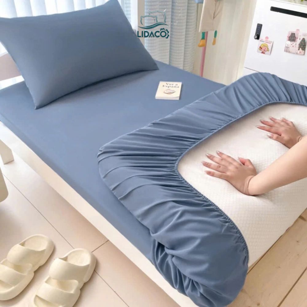 Bộ ga giường cotton tici LIDACO ga giường kí túc xá, giường spa bo chun