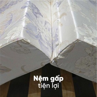 Nệm Bông Ép Gấp 3 Cao Cấp Everon Padding, Nệm Cứng, Bảo Hành 5 Năm - Màu Ngẫu Nhiên