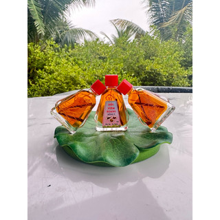 Combo 10 chai dầu viêm xoang vàng chai to 7ml ( có rễ  )
