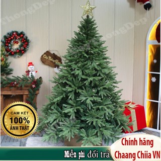  Cây thông PE xanh trang trí giáng sinh 