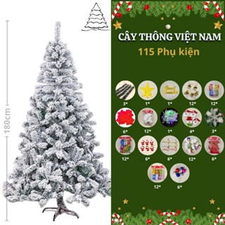  Cây Thông Noel Tuyết 1M5 1M8 2m1 Hàng Đẹp - Cây Thông Phủ Tuyết Giáng Sinh An Lành 
