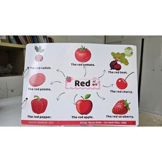 Sơ đồ Tư Duy Razkids - Fox