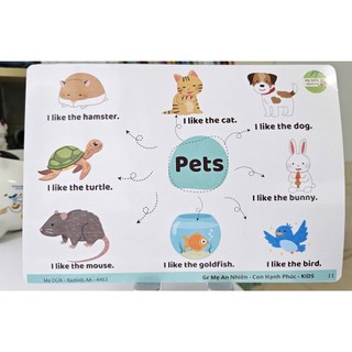 Sơ đồ Tư Duy Razkids - Fox