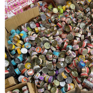  Pate lon 85g lộn xộn 100 lon ngẫu nhiên 