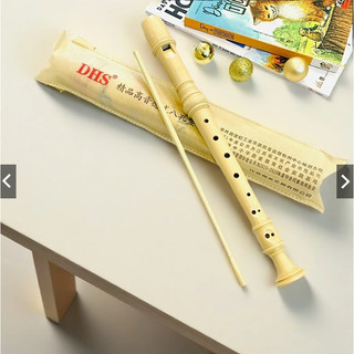 Sáo recorder DHS 8 lỗ cho học sinh - kèm que vệ sinh