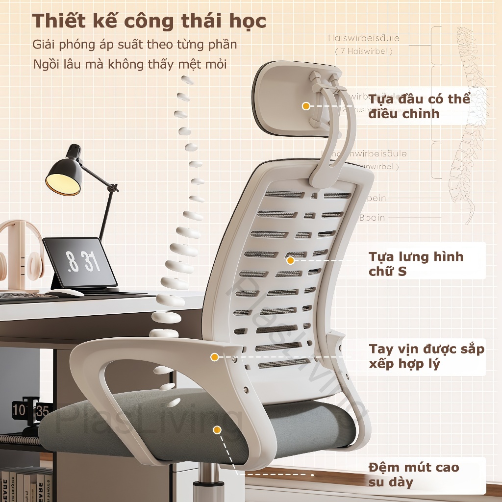 Ghế văn phòng Ghế học tập tại Tựa Lưng Lưới Cao Cấp Cực Kỳ Thông Thoáng Và Sạch Sẽ  đau lưng ổn định | BigBuy360 - bigbuy360.vn