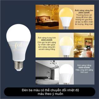 [MPE Chính Hãng] Bóng Đèn LED Búp Tiết Kiệm Điện – Ánh Sáng Trắng/Vàng/Trung Tính, Công Suất (20W-30W-50W)