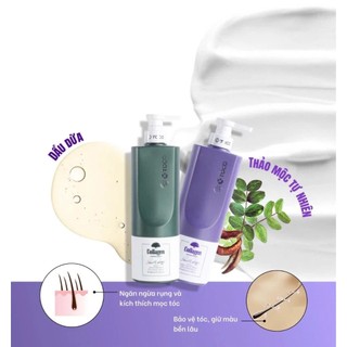 Dầu gội phục hồi kích mọc tóc Toco Collagen 800ML Phiên Bản Mới