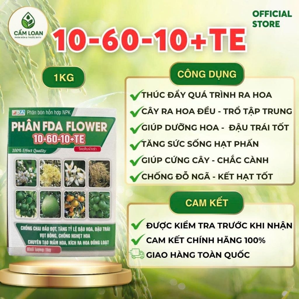 Phân bón lá 10-60-10 1kg thích trổ hoa đều và đồng loạt
