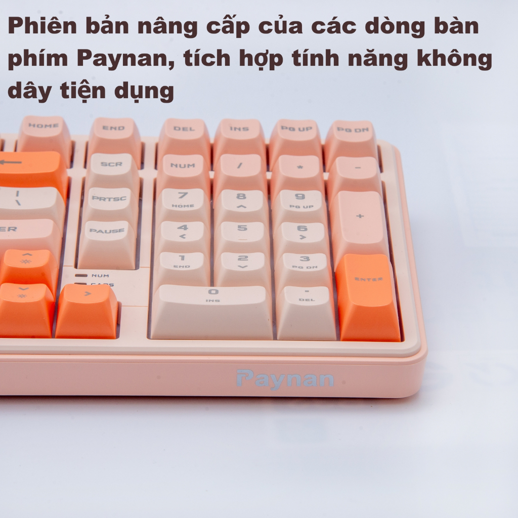 Bàn phím không dây chống ồn Paynan 702Pro fullsize 3 chế độ kết nối Cáp/USB2.4G/Bluetooth led nền RGB pin trâu 4000mAh | BigBuy360 - bigbuy360.vn
