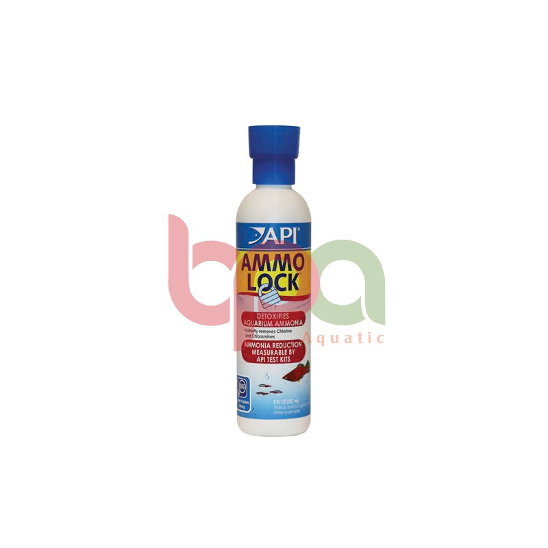 API AMMO LOCK 118ML 237ML - KHỬ ĐỘC AMONIAC NH3 CHO BỂ CÁ CẢNH THỦY SINH