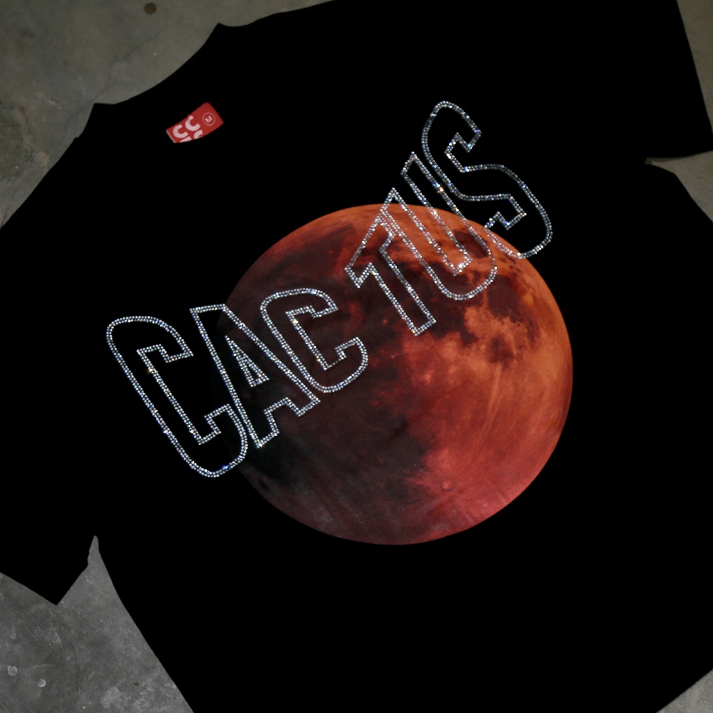 T-Shirt Boxy Cotton 270GSM "Bloodmood Đính Đá"