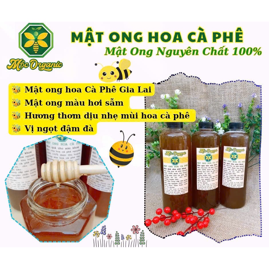Mật Ong Hoa Cà Phê - Mộc Organic