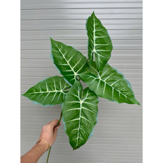 Cành Lá Môn giả - 1 cành 5 lá dài 75 cm, hàng nhập khẩu cao cấp