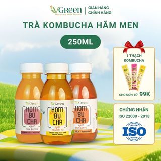   TẶNG THẠCH KOMBUCHA ĐƠN 99K  VKOMBUCHA LIGHT - Trà kombucha hãm men  chai 250ml  