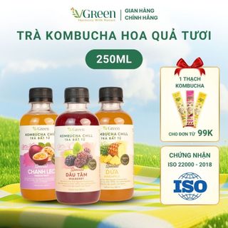   TẶNG THẠCH KOMBUCHA ĐƠN 99K  VKOMBUCHA CHILL - Trà kombucha hoa quả tươi  chai 250ml  