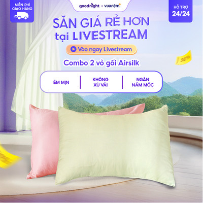 Combo 2 vỏ gối lụa tencel Goodnight Airsilk 5 tone màu pastel 45x65cm