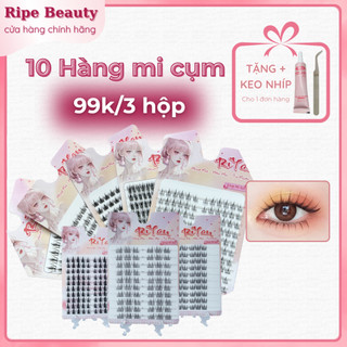   RIYAN Lông Mi Giả Tách Sợi Chùm Nối Tự Nhiên Tái Sử Dụng Nhiều Lần RiYan Kèm Keo Nhíp 