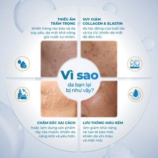 Mặt Nạ Lụa Trẻ Hoá Cấp Ẩm Da NARA Nhân Sâm Tổ Yến