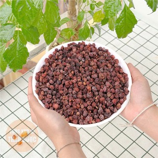 Ngũ vị tử 100g, hạt ngũ vị đỏ đẹp, nguyên chất, sạch, không lẫn tạp chất - Tổng Kho Sỉ Thảo Dược
