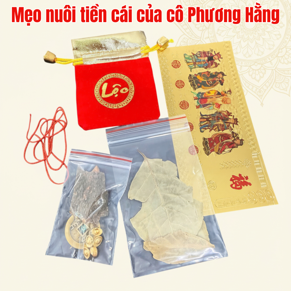Bộ Ngũ Lộc 6 món Chiêu Tài Phong Thủy Đài Loan - Cách nuôi tiề.n cái chuẩn, hút lộc đầu năm